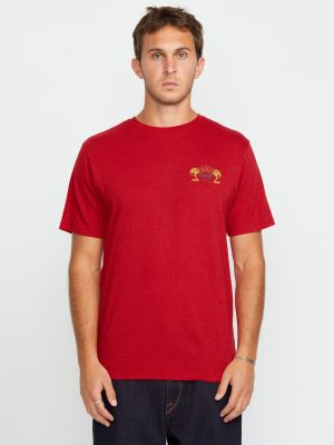 Men's Cosmic Root Short Sleeve Tee